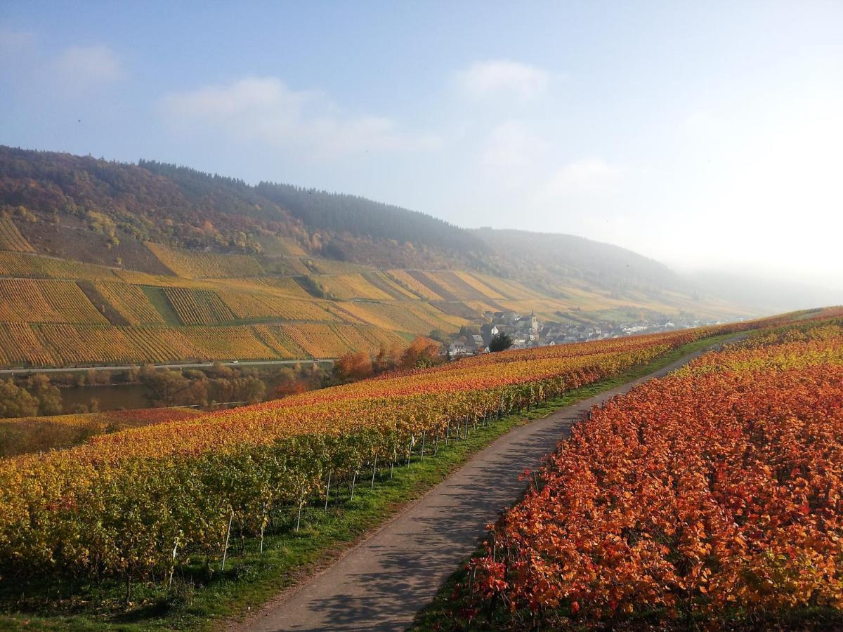 Weingut-Brennerei-Gaestehaus Emil Dauns Reil Eksteriør billede