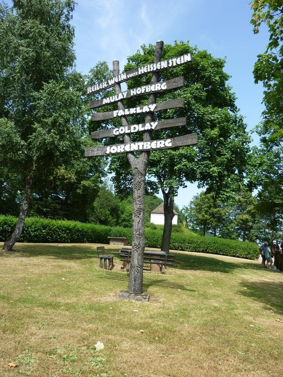 Weingut-Brennerei-Gaestehaus Emil Dauns Reil Eksteriør billede