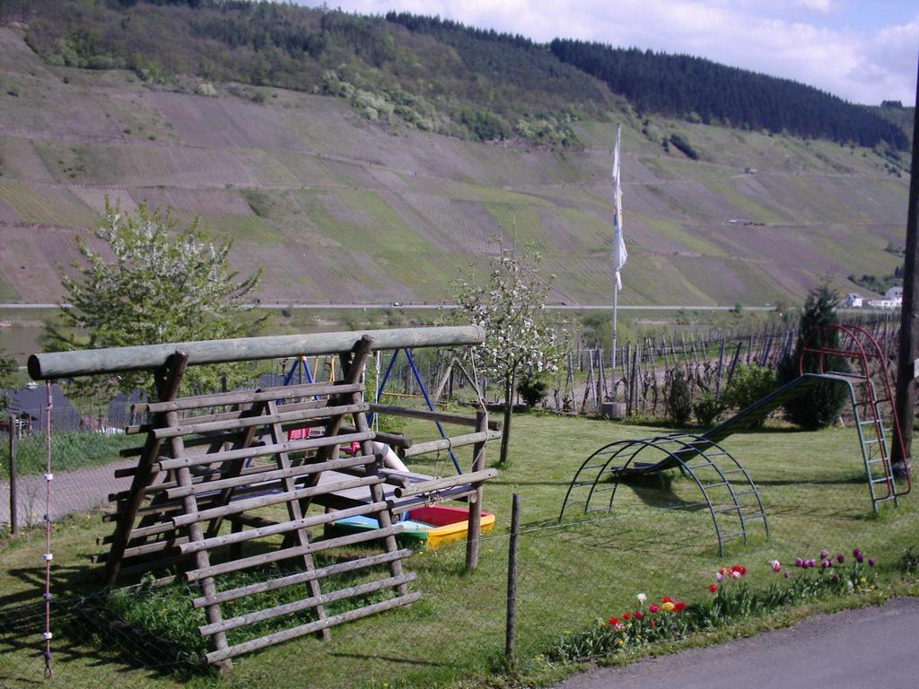 Weingut-Brennerei-Gaestehaus Emil Dauns Reil Eksteriør billede