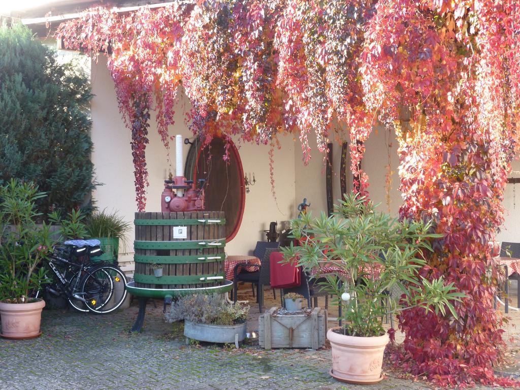 Weingut-Brennerei-Gaestehaus Emil Dauns Reil Eksteriør billede